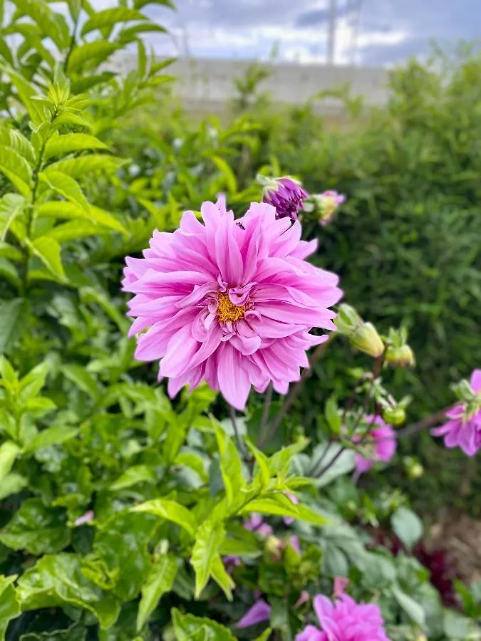 Hospedaje El Girasol Tababela Quito 0*,  Ecuador